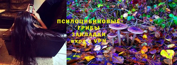 ПСИЛОЦИБИНОВЫЕ ГРИБЫ Абинск