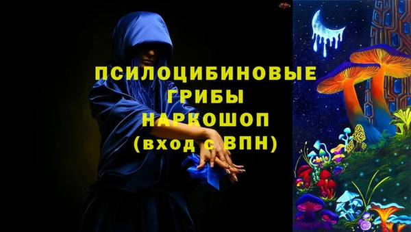 ПСИЛОЦИБИНОВЫЕ ГРИБЫ Абинск